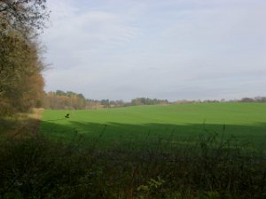 CTF-Seefeld 2008 240